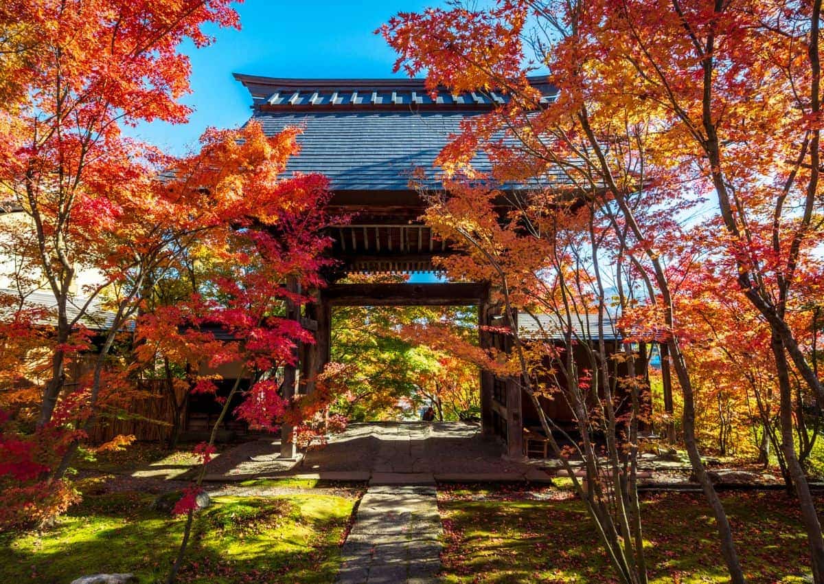 Herbstlaub in Japan am Tempeltor – traditionelle Herbstszene
