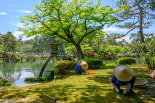 Hafen Kenrokuen, Kanazawa 