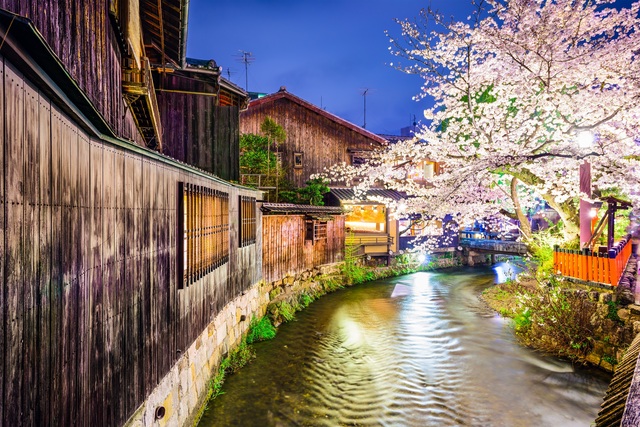 Der Fluss Shirakawa bei Nacht in Gion