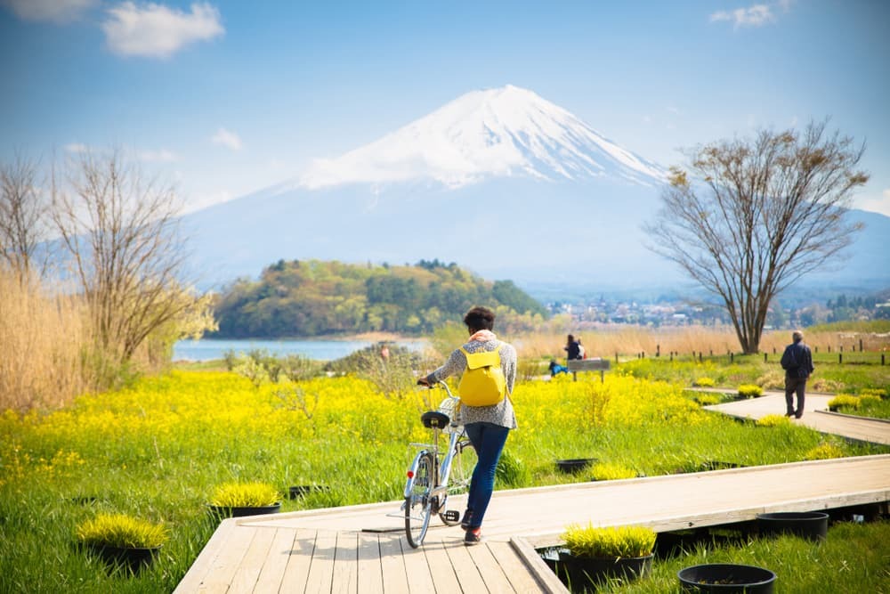 Der Berg Fuji mit Schnee und Blumengarten entlang der Holzbrücke am Kawaguchiko-See in Japan