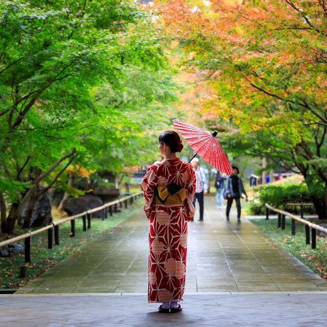 Japanische Frau in einem roten Kimono, die einen Regenschirm hält und gemächlich durch einen öffentlichen Park mit Herbstblättern in Japan geht