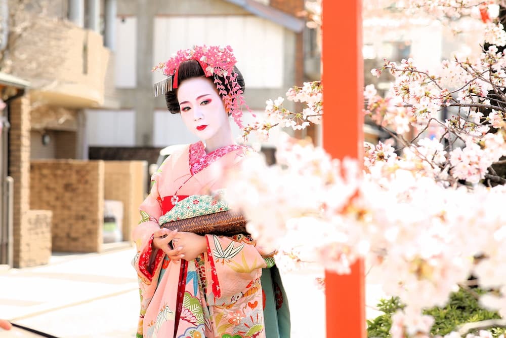 Maiko auf Sakura Straße mit rosa Regenschirm