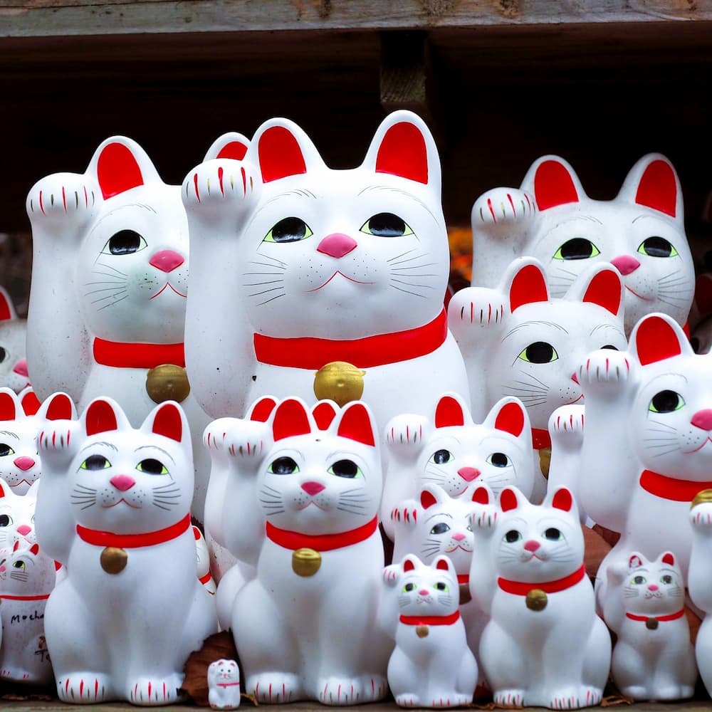 Maneki-neko-Glückskatzen am Goutokuji-Schrein, Tokio, Japan