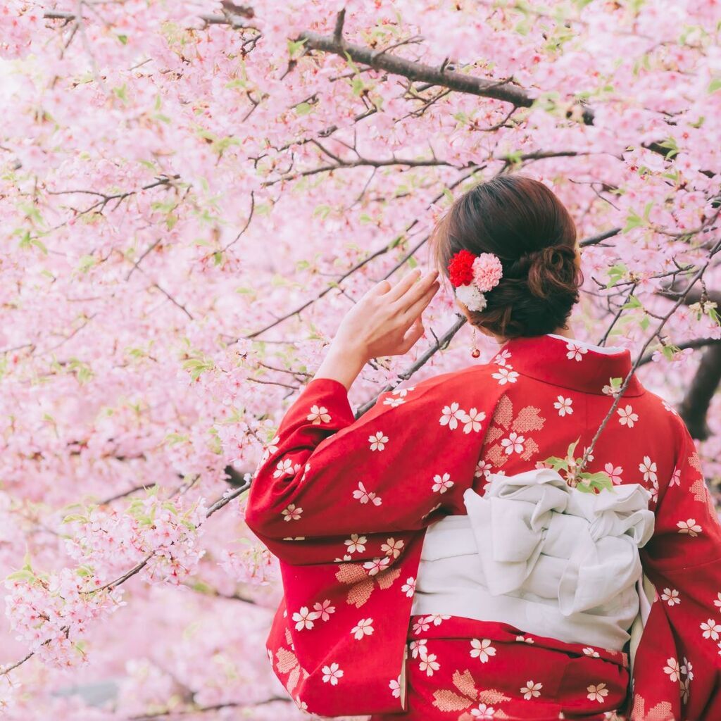 Frau im Kimono vor Kirschbaum