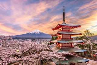 Chureito-Pagode mit dem Mt. Fuji im Frühling