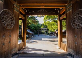 Tor des Meiji-Schreins, Tokio 