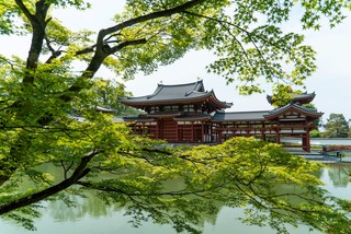 Byodo-in-Tempel mit japanischem Ahorn, Uji 