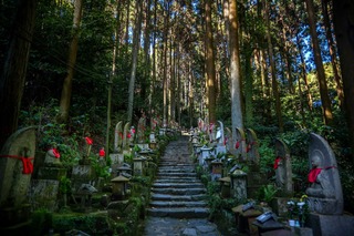 Der Okunoin-Friedhof auf dem Mt. Koya zählt zu den bedeutendsten buddhistischen Stätten Japans und liegt inmitten eines dichten Zedernwaldes. 